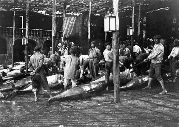 italy, sicily, acireale, gutting tuna fishes 1800-1900