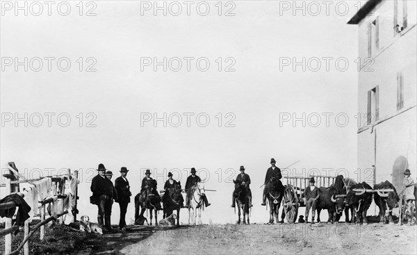 cowherds of the maremma on horse