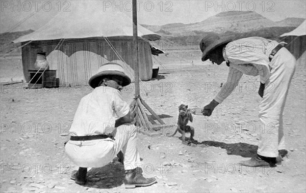 egypt, red sea coast, 1912