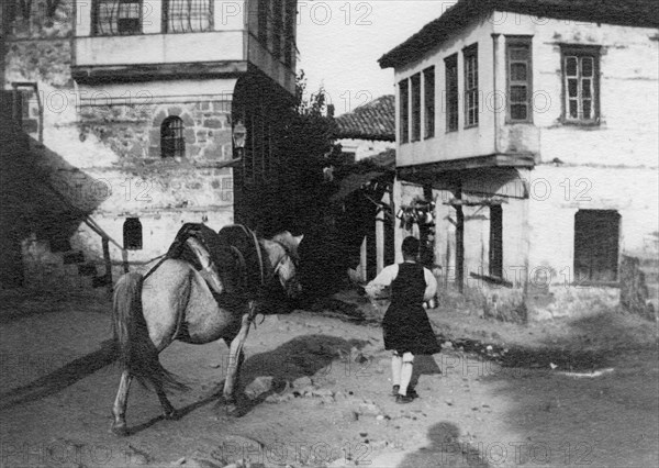 greece, kalambaka, man with horse