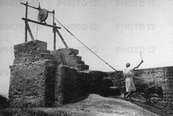 africa, lybia, bab-djedid, well, 1910