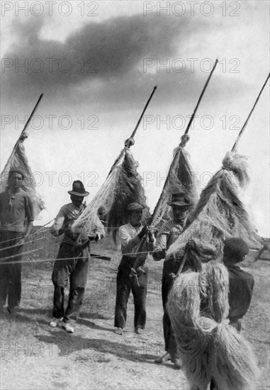 italy, tuscany, hemp making