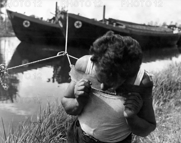 canale di brenta, un battellante in azione per tirare una barca, 1957