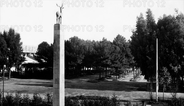 italy, naples, mostra d'oltremare