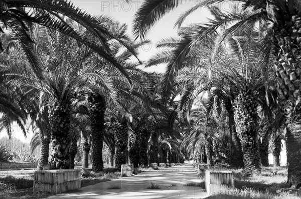 italy, naples, mostra d'oltremare