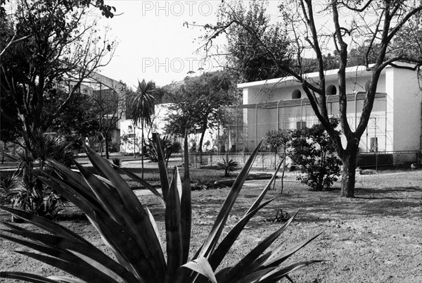 europe, italy, naples, mostra d'oltremare, zoo