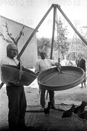 italy, winnowing corn