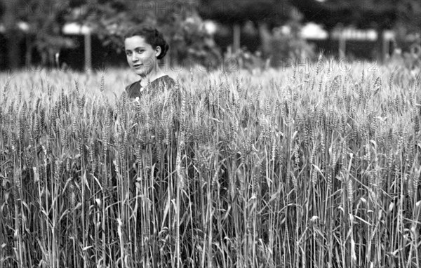 farmer, 1936