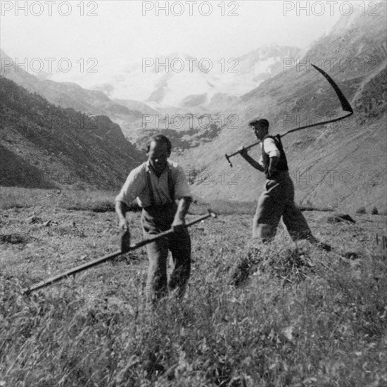 agriculture, hay 1920-1930