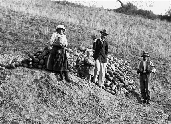 italy, campania, benevento, agriculture, 1910-1920