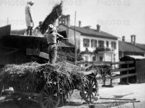 farm, 1940-1950