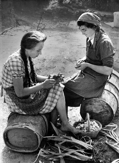 peeling, iris rhizomes, 1946