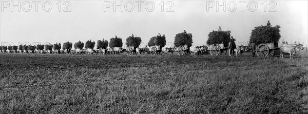 agriculture, 1910-1920