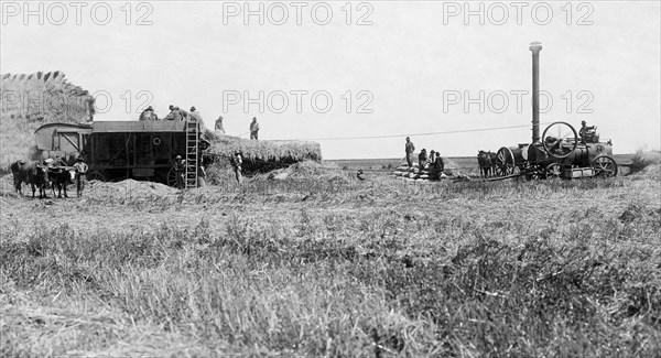 agriculture, 1910-1920