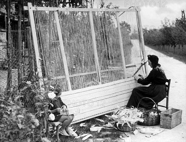 italy, friuli, hand loom, leaves of maize, 1930-1940