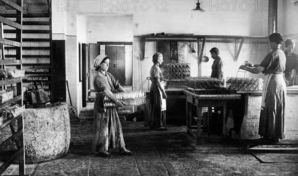 fabbrica l. torrigiani, fried fishes, 1920-1930