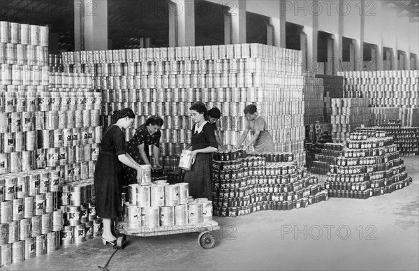 italy, cesena, food industry, 1940-1950