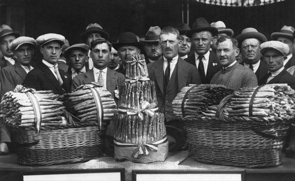 italy, piemonte, santena, exhibition of asparagus