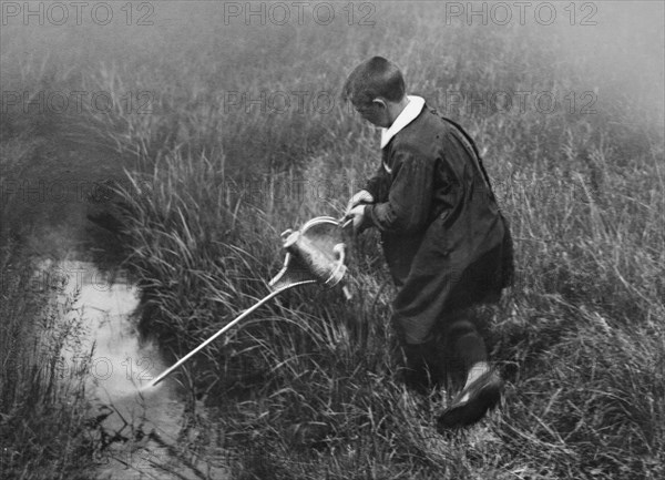 lotta contro la malaria, studente collabora spruzzando un potente larvicida, luglio 1946