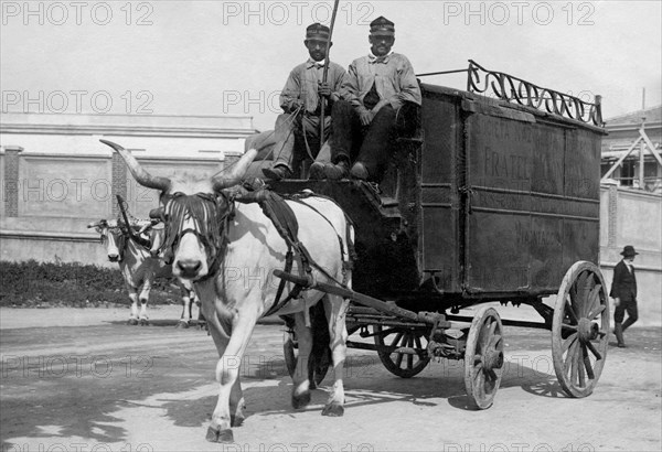 chariot de traction animale, 1920