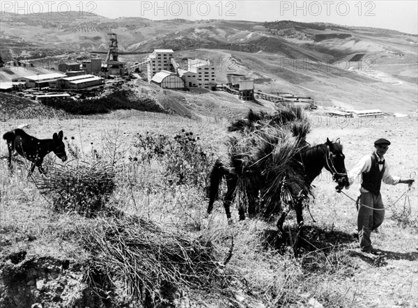 mine de kainite de san cataldo et agriculteur au premier plan, 1962