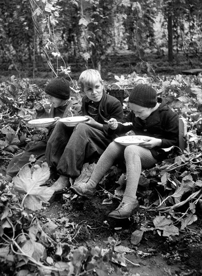 pause d'un garçon pendant la récolte du houblon, 1956