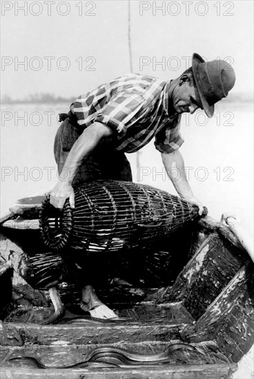 pêche à l'anguille sur le po' de cremona, 1930-1940