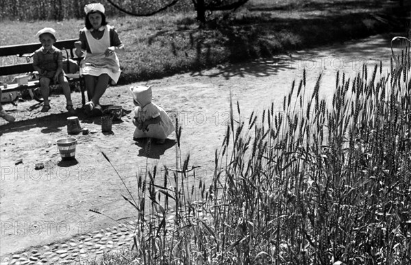 enfants et blé mûr dans des jardins transformés en jardins de guerre, 1942