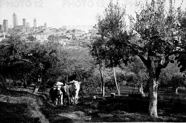 toscane, province de sienne, san gimignano, 1940