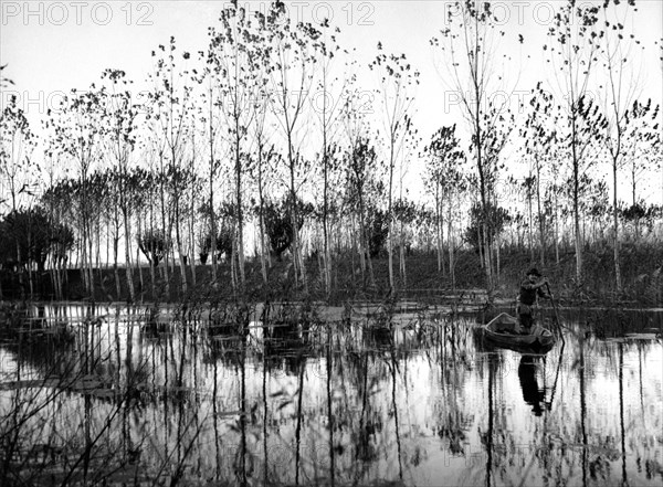 près de commessaggio, province de mantova, 1960