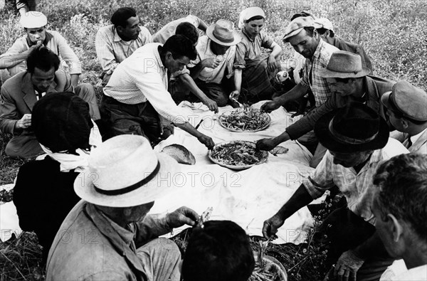 pause déjeuner pendant la moisson à san giorgio lucano, 1965