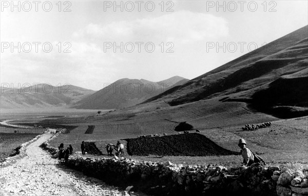 travail dans les champs, 1930