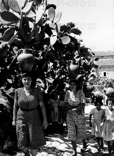 porteurs d'eau à palinuro, 1962