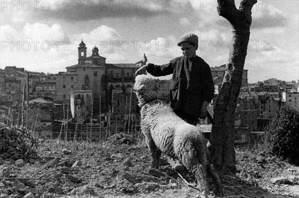 lazio, petit berger sur fond de marino laziale, 1930