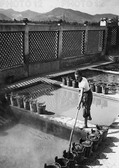 italie, veneto, abano terme, bains de boue à abano terme, 1930