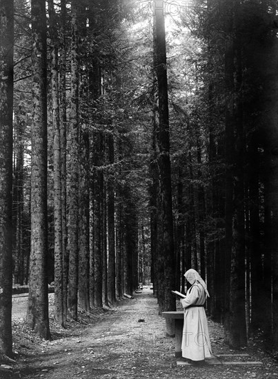 italie, toscane, camaldoli, moine dans l'allée de sapins, 1920