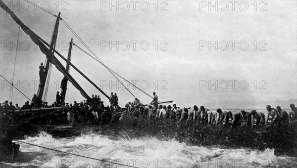 italie, sardaigne, abattage de thon au large de l'île de san pietro, 1921