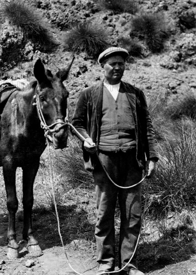 italie, sicile, un berger, 1924