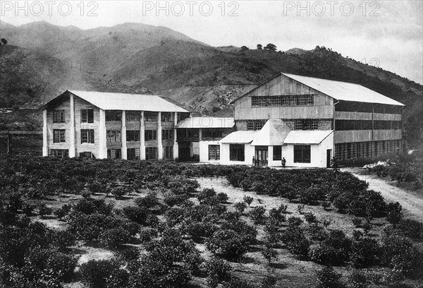 sri lanka, une usine de thé dans une plantation de thé, 1920 1930
