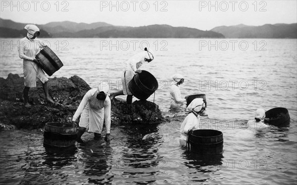 japon, groupe de pêcheurs d'huîtres perlières ama, 1920 1930