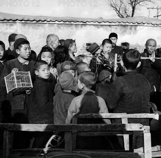 chine, beijing, le marché des oiseaux chanteurs, 1956