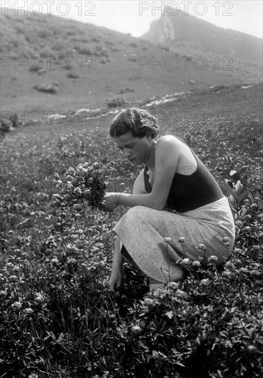 italie, trentino, monte bondone, collection de boutons d'or, 1930 1940