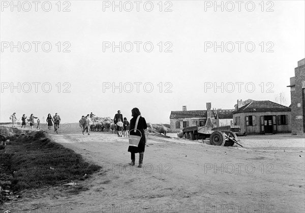 italie, veneto, scènes de vie à polesine, 1964