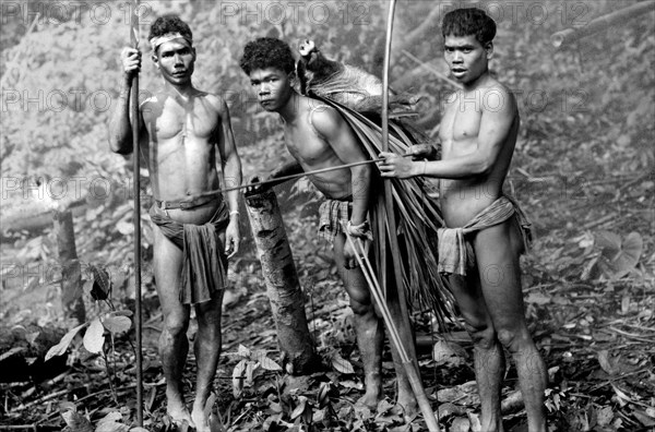 asie, malaisie, chasse des indigènes pakai, 1942