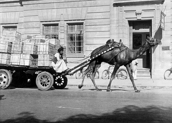 pakistan, karachi, un chameau transportant des marchandises, 1955