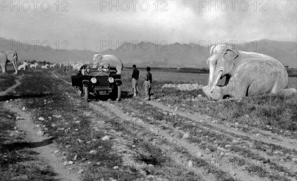 asie, chine, rue avec des statues d'éléphants, 1910 1920