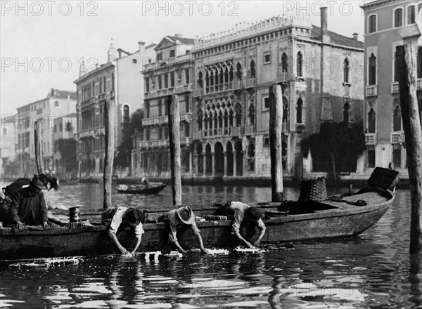 italie, venise, nettoyeurs de seiches au travail, 1900 1910