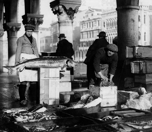 italie, venise, venise, pescheria nova, 1910 1920