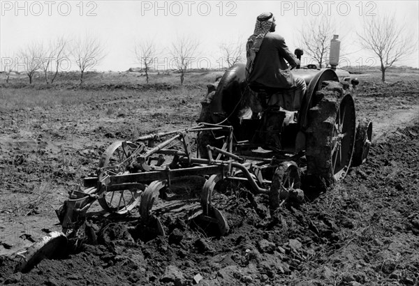 moyen-orient, un fellah conduisant un tracteur, 1957