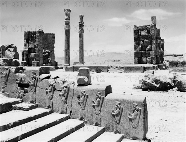 moyen-orient, iran, ruines de persepolis, marches du roi darius avec ses serviteurs, 1963